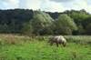 PARC HAUTE VALLEE DE CHEVREUSE