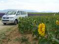 Provence Panorama