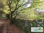 Chemin de Coulac - Copérit - Grand Champ - Morbihan Bretagne Sud PT Vannes Lanvaux Chemin de Coulac - Copérit - Grand Champ - Morbihan Bretagne Sud PT Vannes Lanvaux