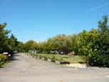 ABRI-COTIER-st gildas-morbihan-morbihan-bretagne sud Camping Abri Côtier ABRI-COTIER-st gildas-morbihan-morbihan-bretagne sud Camping Abri Côtier