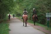 chevaux voie verte morbihan bretagne sud 