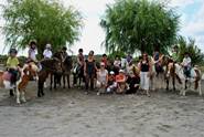 Centre Equestre Christine Sanchez