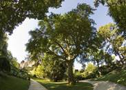 Jardin_des_plantes_Poitiers