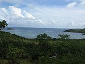 PARC DE MARTINIQUE
