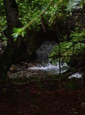 Arboretum Joueou