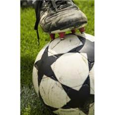 foot