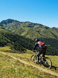 VTT