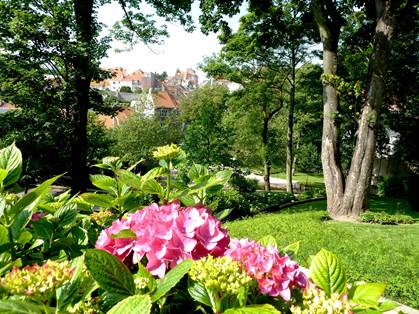 Le jardin Bucialli