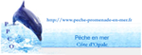 Logo PPCO