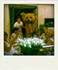 GREEN BEAR COFFEE