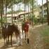 VITALPARC RESIDENCIA