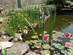 bassin du jardin bassin du jardin