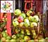 Fête de la pomme 2ca4399e-35e9-45c3-82ad-9a47d374ce87