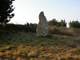 Le Menhir Pierre Sainte Anne ea652fed-bfd4-4139-a656-0693e97c3ab4