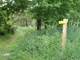 Circuit des Pins - Malansac (16 km) ec425e81-2f03-4b69-82bf-96b8af01a12c