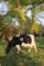 La Ferme de l'Abbaye 8e9c4de6-a19d-4751-aa3c-3812c3f6efc7