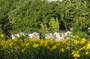 Camping La Fontaine du Hallate 5e305462-69b3-4fd6-9394-98fa4a0f97ac
