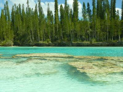 Piscine naturelle Île des Pins