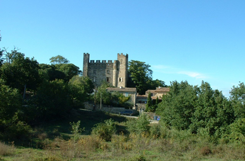 Château de Castelnau Valence ©