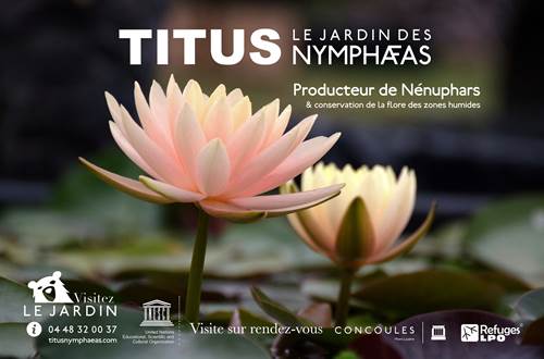 concoules-titus-jardin-nympheas ©